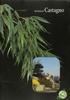 Catalogo bonsai CASTAGNO